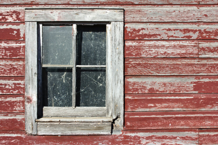New Life to the Old Barn: Reviving the Heart of the Farm